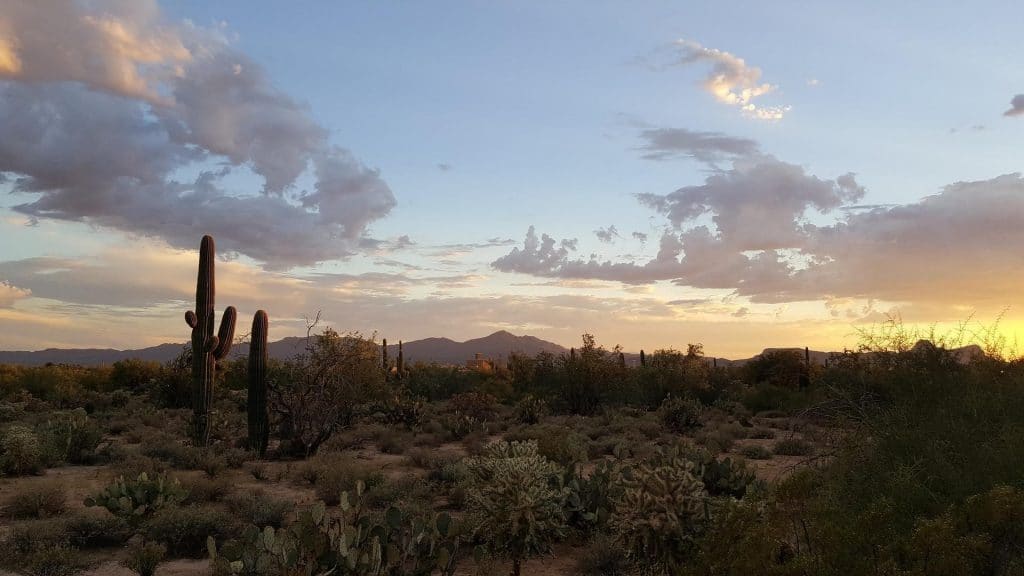 Desert sunset in Tucson, Arizona